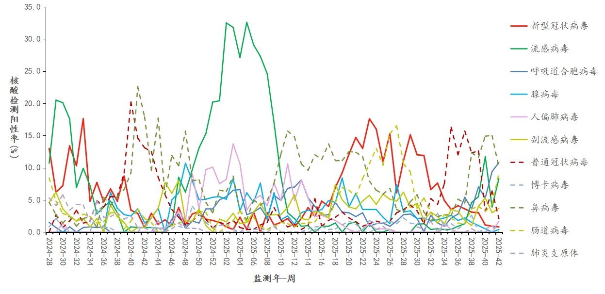 1761805172553646.jpg 1761805172553646.jpg