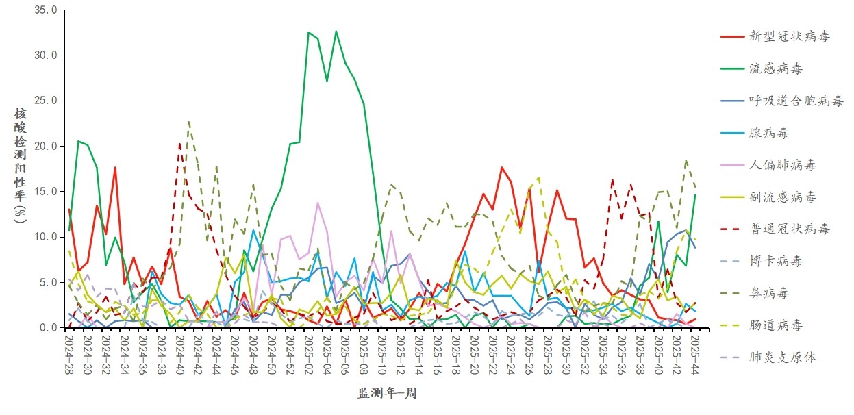 1762737247595215.jpg 1762737247595215.jpg