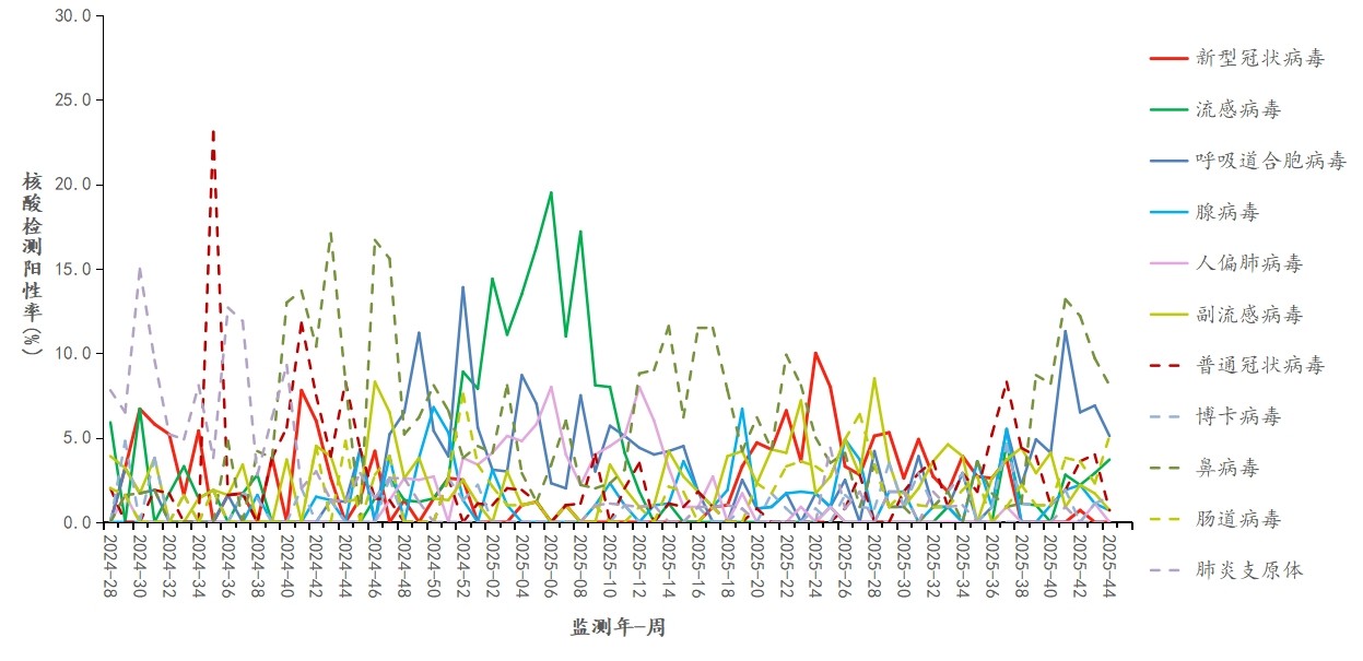 1762737274988009.jpg 1762737274988009.jpg