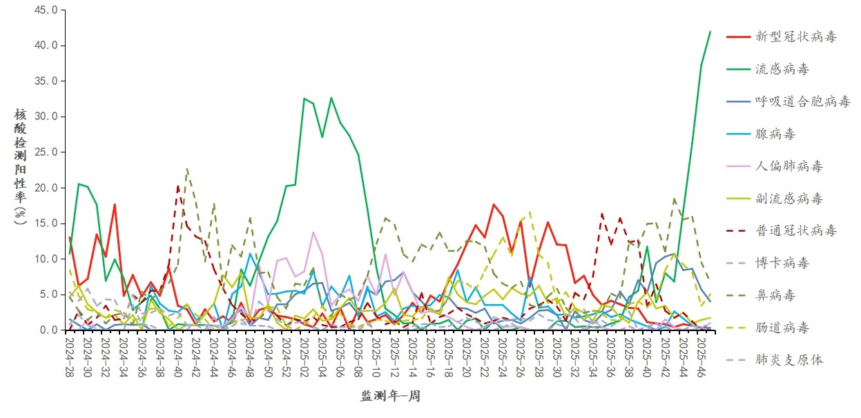 1764555806263440.jpg 1764555806263440.jpg