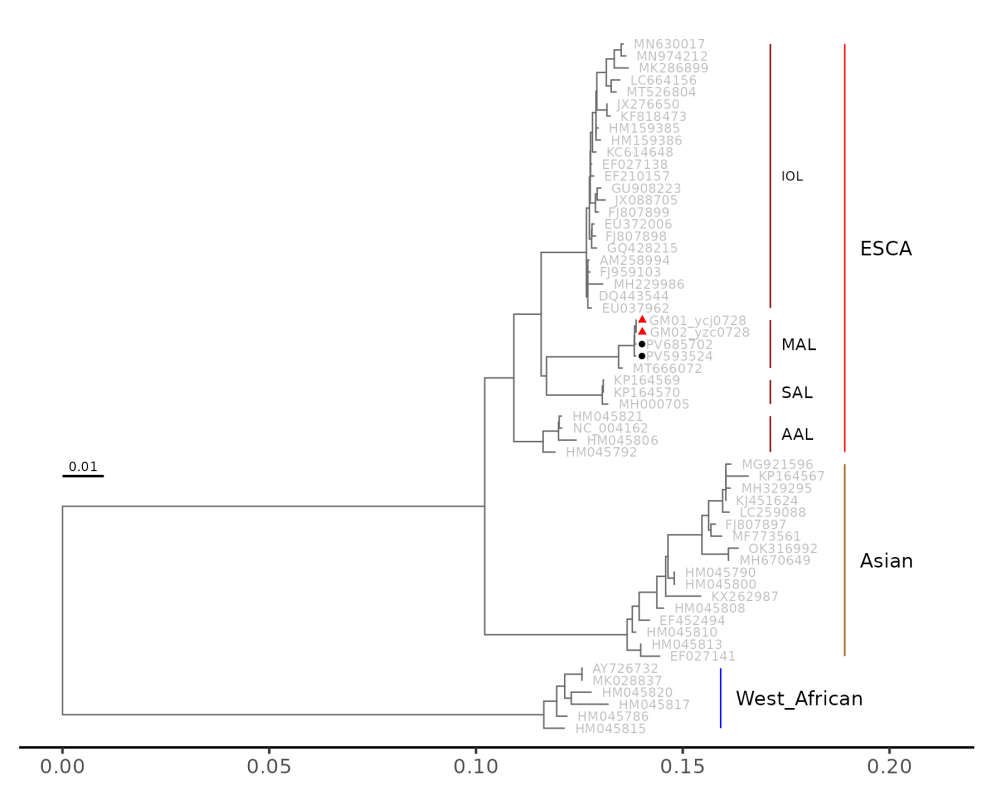 1765853768636741.png 7.2.png