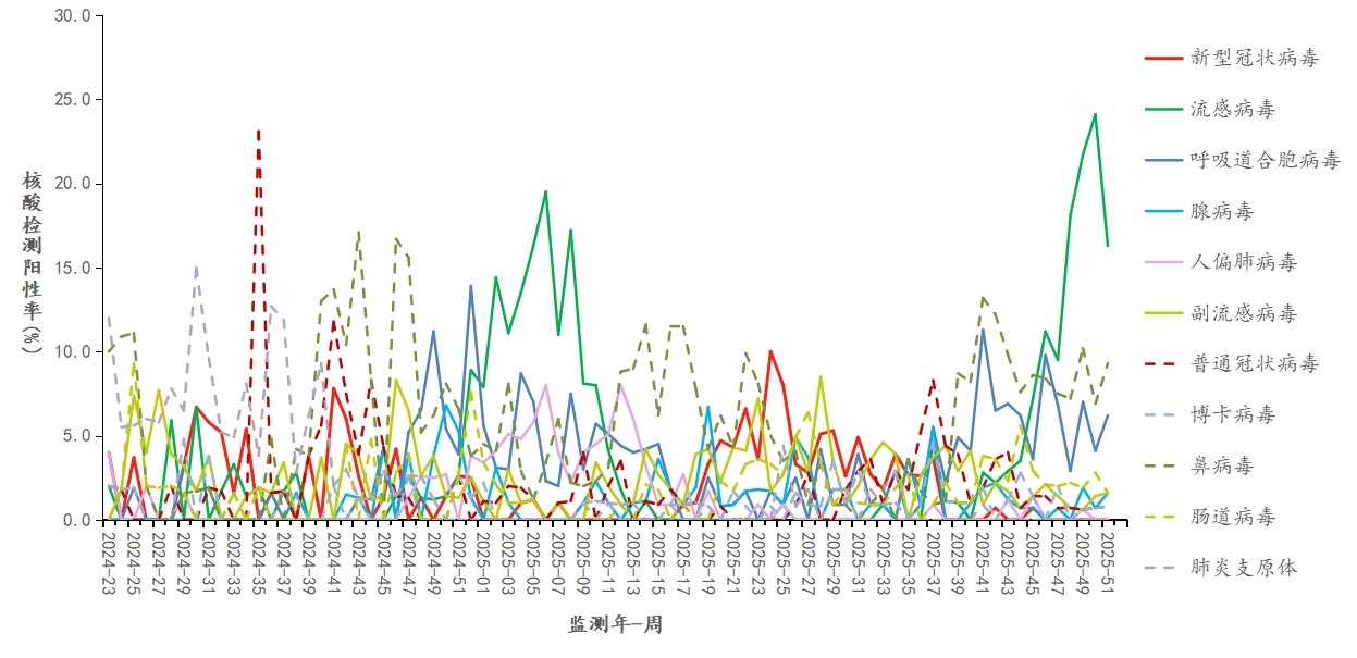 1766649340506699.jpg 1766649340506699.jpg