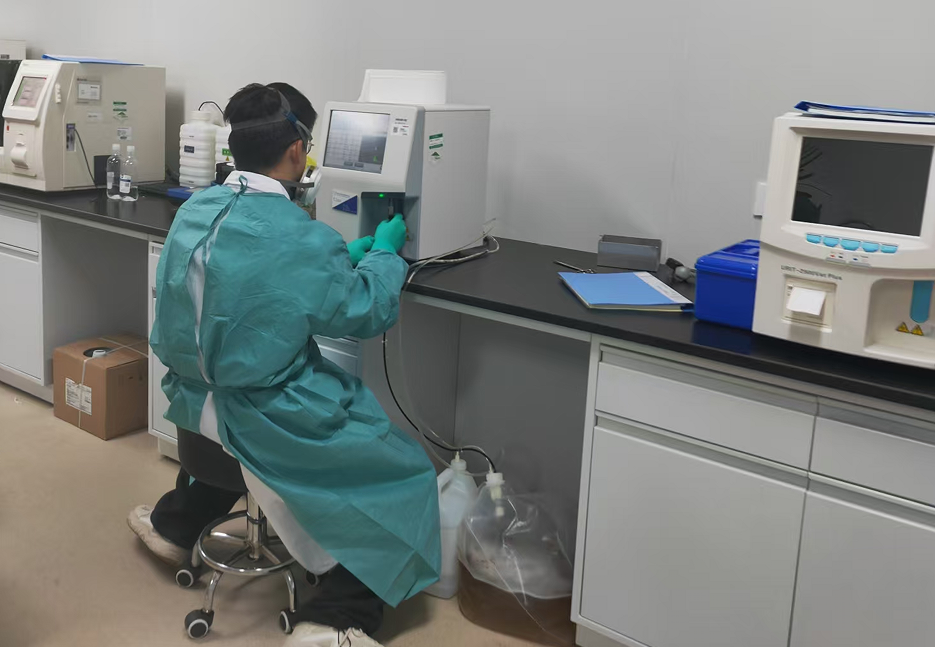 1772437788315465.png 1772437788315465.png