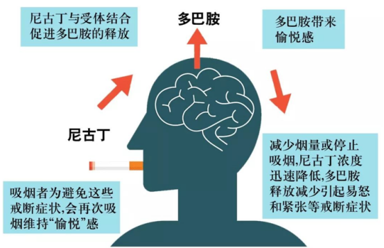 1780281543628909.png image.png